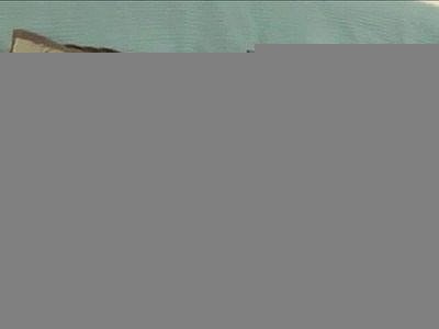 Sexy Cougar screws young black stud