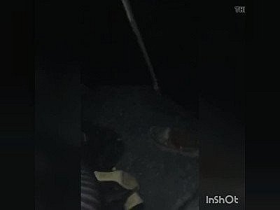 Adult Bookstore Whore