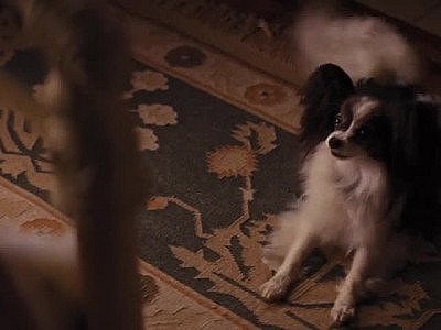 Margot Robbie Sex Scene