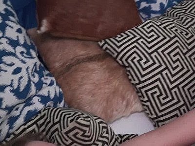 Young girl daughters get lesbian sex from moms