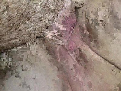 Amat couple fucking deep from behind