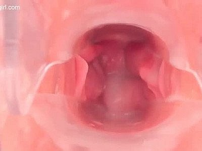 Inside the vagina exhibition