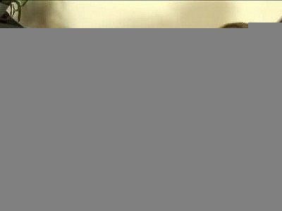 Girl With biggest tits ever!