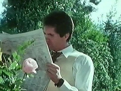 Classic porn star Honey Wilder gets her bush banged