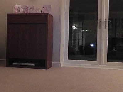 Homemade chick JL Stuffing