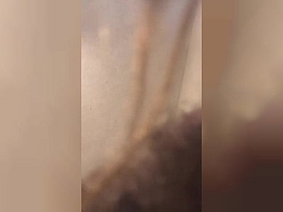 Bbw dick too huge for pocket cunt